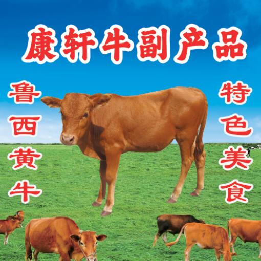 康轩生鲜冻品~食材