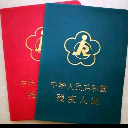 小乔找工作--菊香