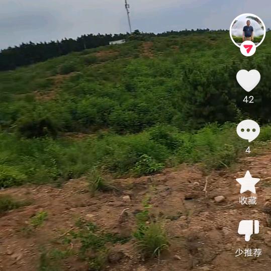 路边小吃，欢迎品尝