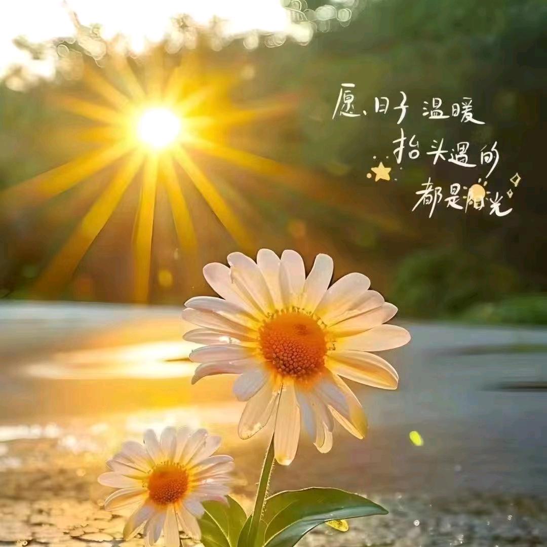 一缕阳光