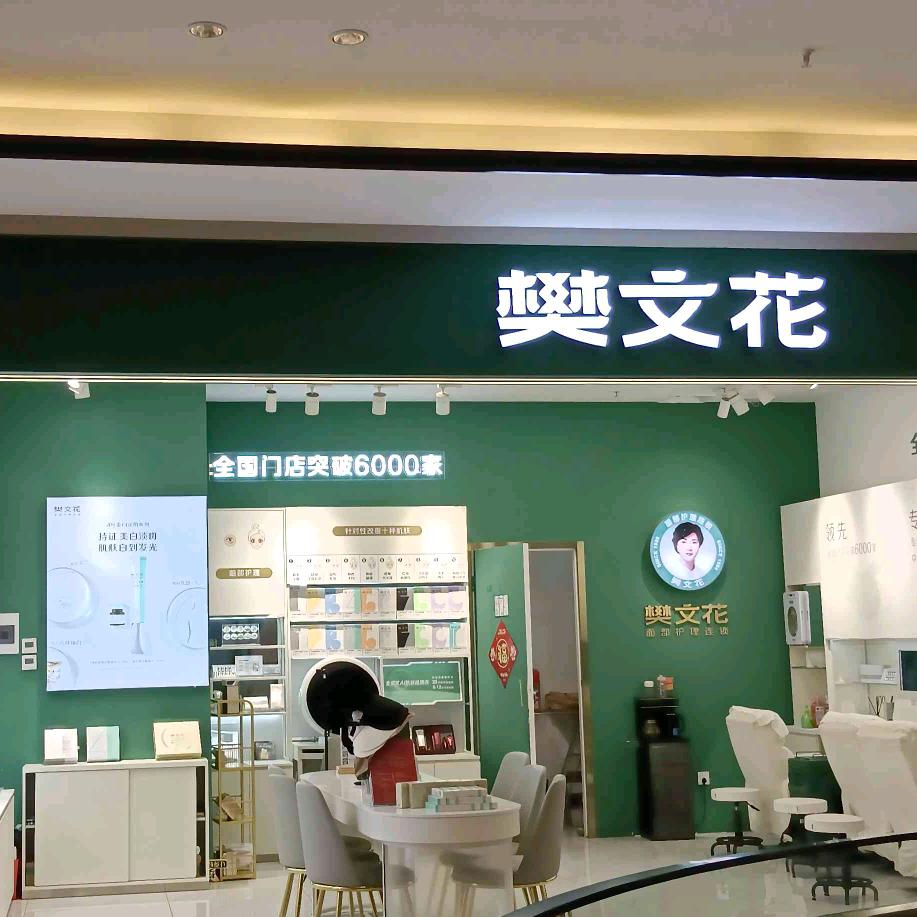 樊文花万人迷