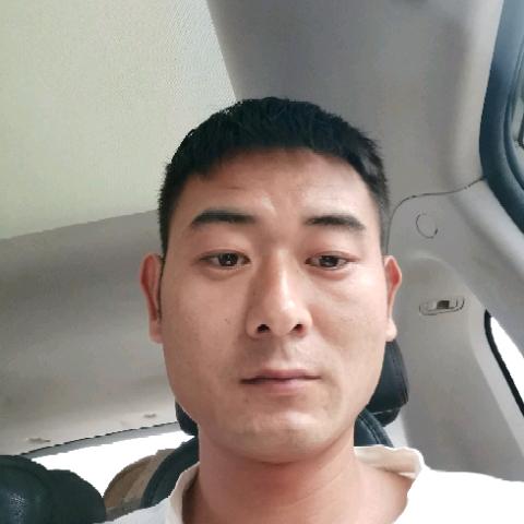 专业砍桩，挖机破碎，