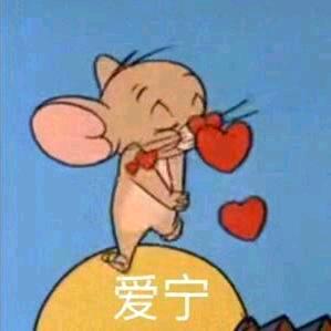 xc爱宁