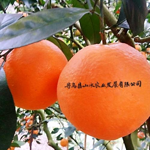 寻乌县山水农业发展有限公司