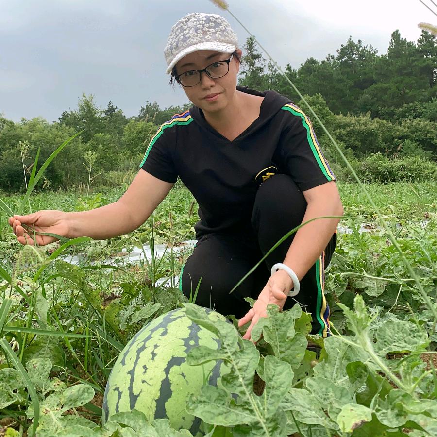 小楼锄歌