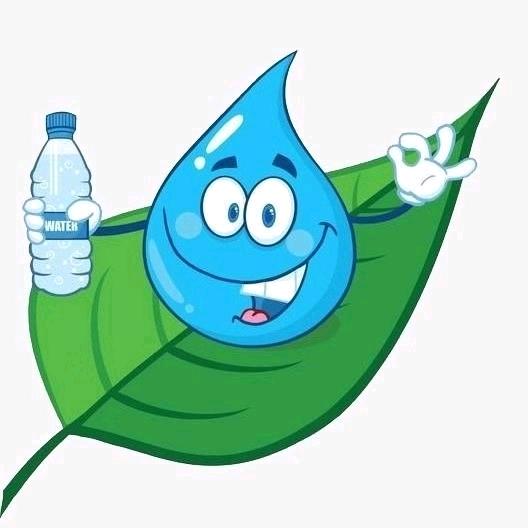 树叶上的水