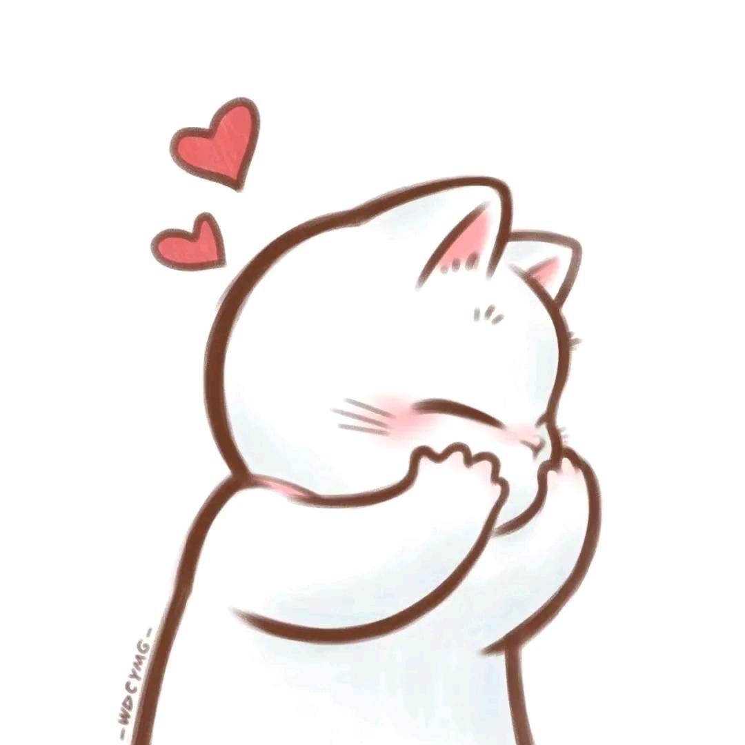 小菲菲★