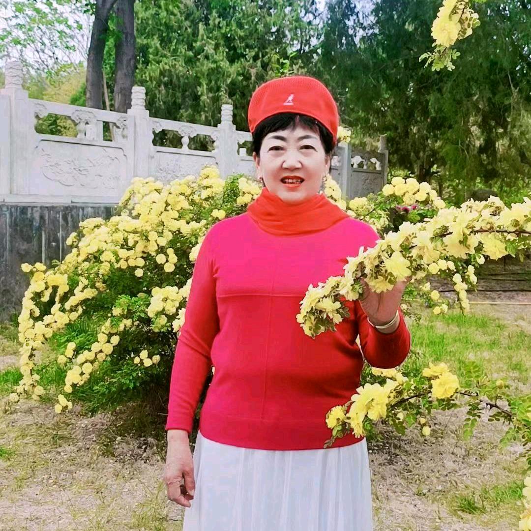 莲