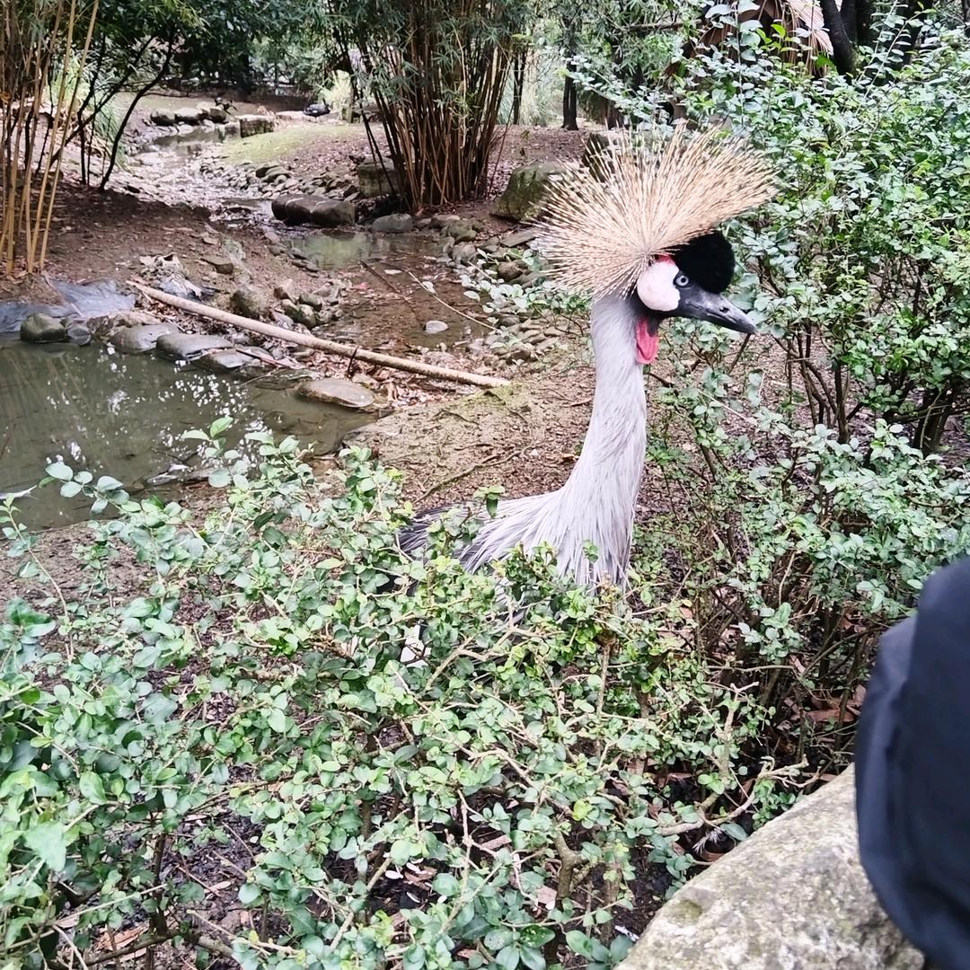 䕓蔡