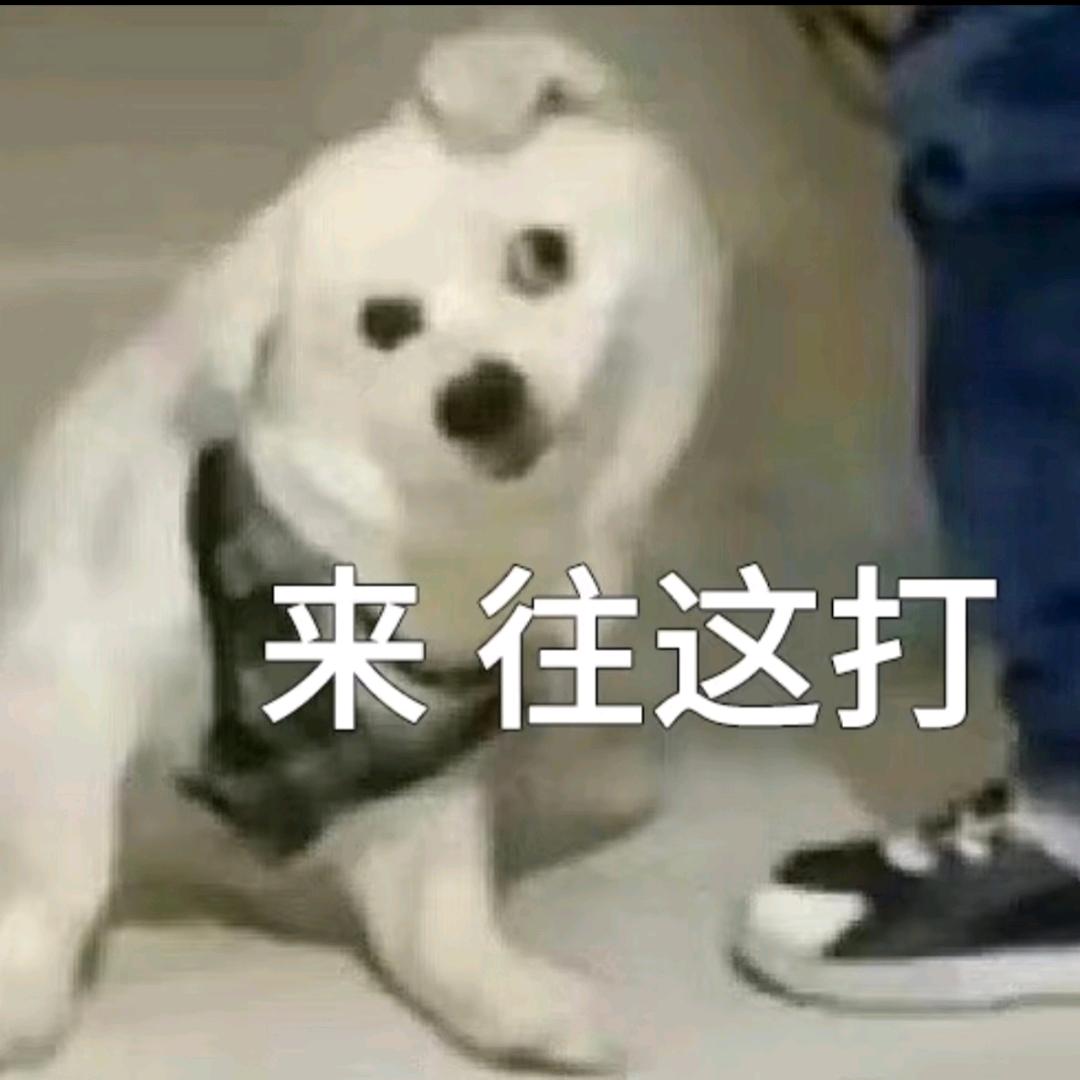 百叶箱OvO