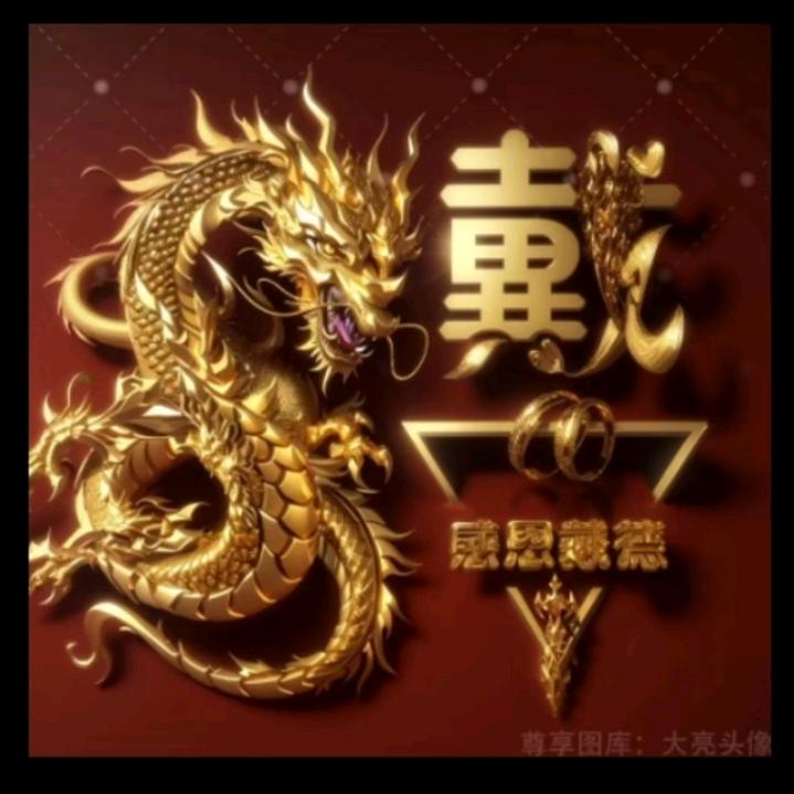自由飞翔