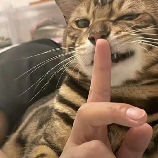 平平安安
