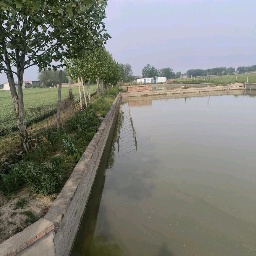 越来越好