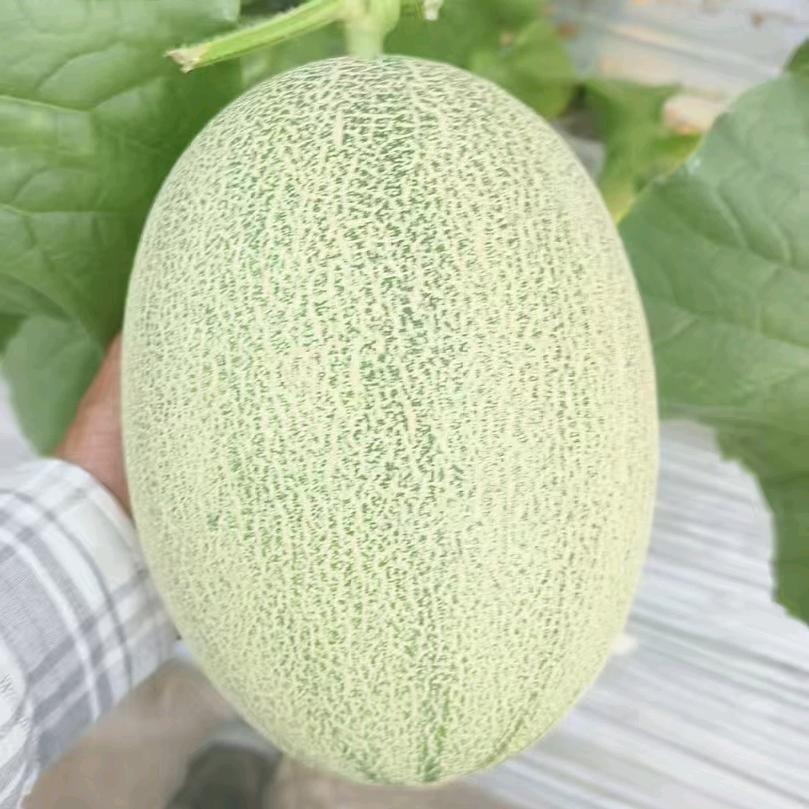 易航果业