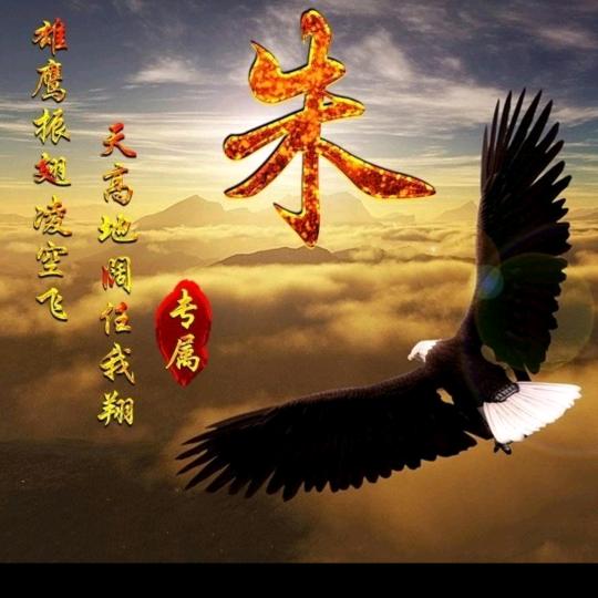 大漠孤鹰🦅