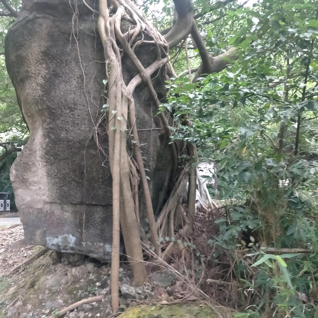 山东人在江门