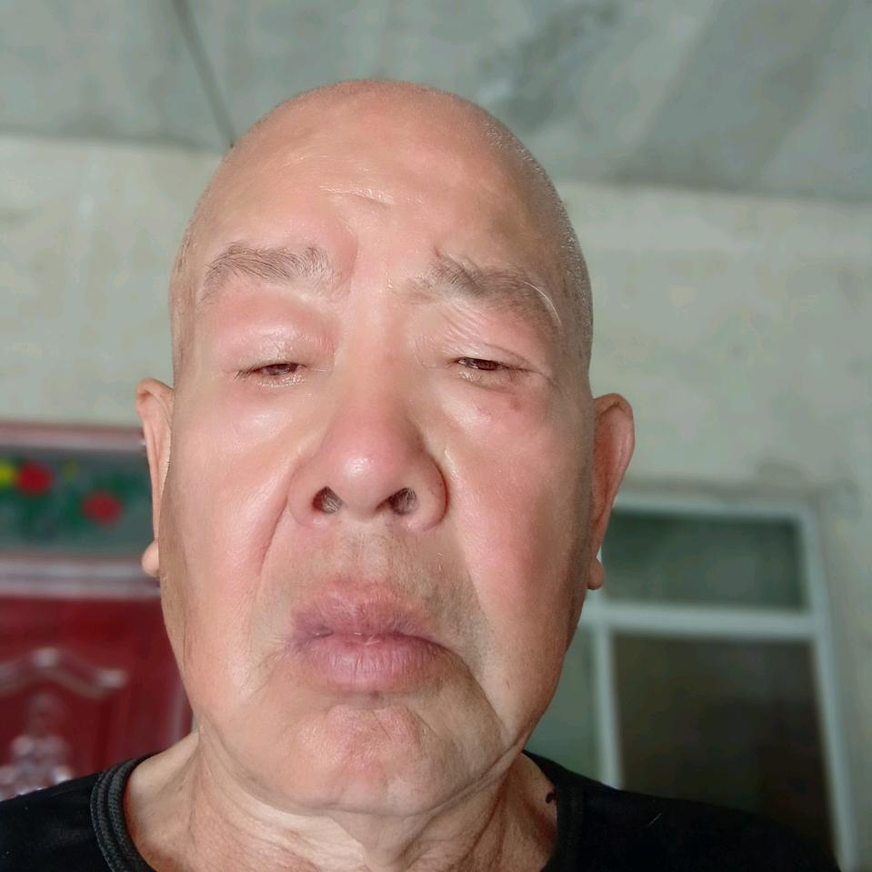 鹰昊文谍