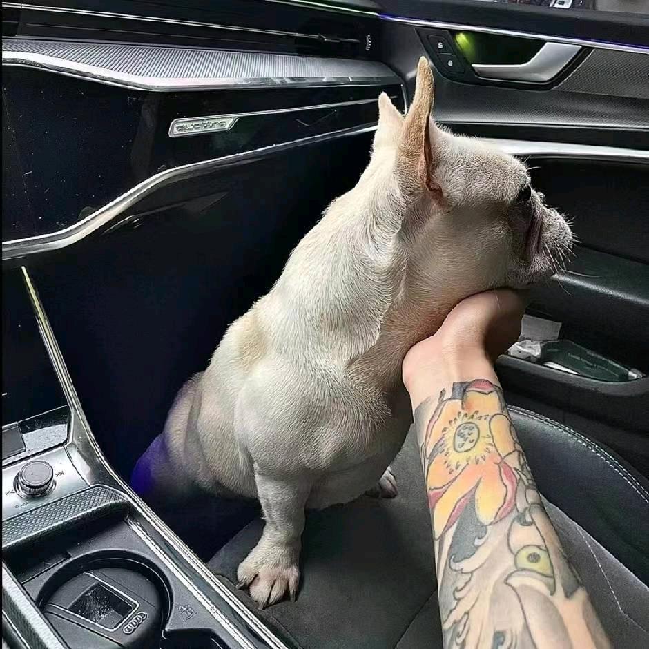 磊先生🇨🇳