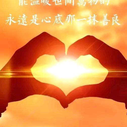向阳而生