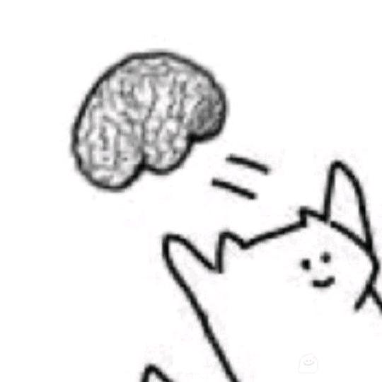 会做鸡蛋灌饼🥝