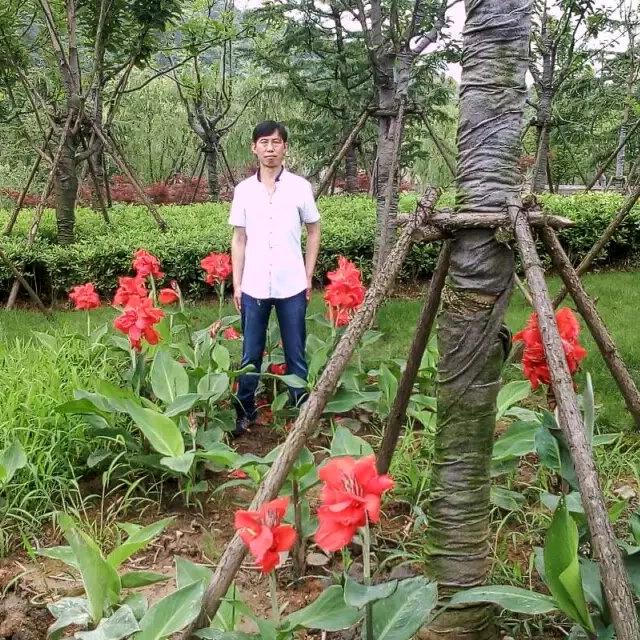 yen老不给我牵红线木子