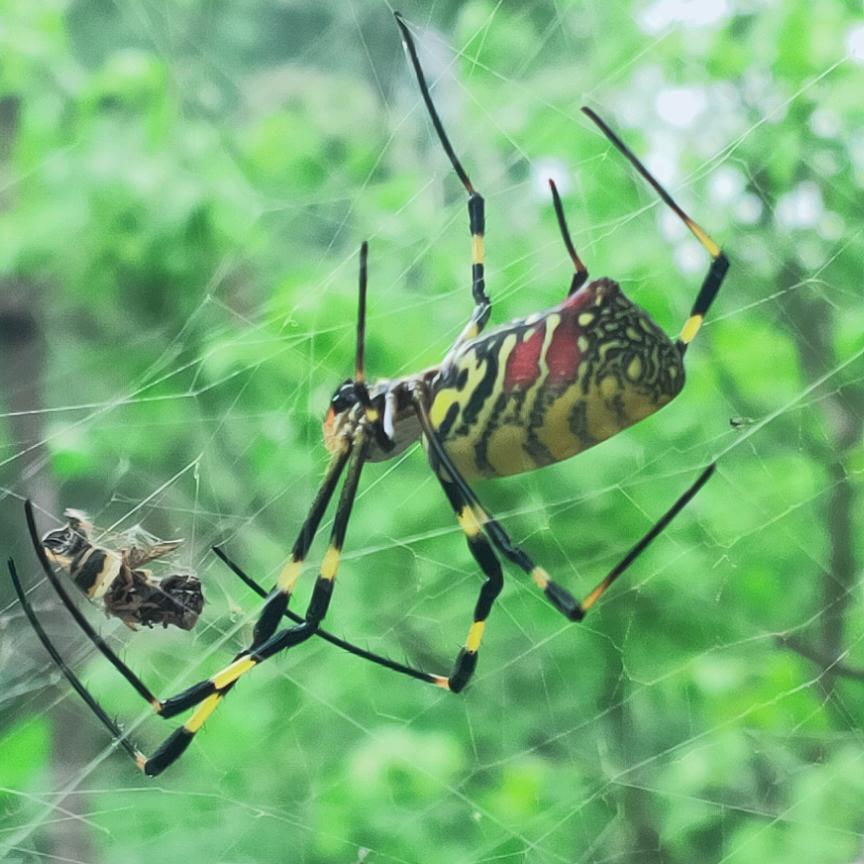 平凡🌹🌹🌹之路