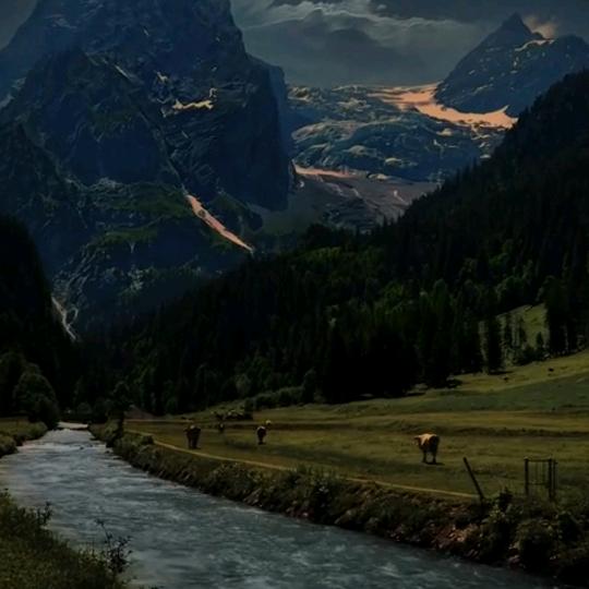 人之初。性本善