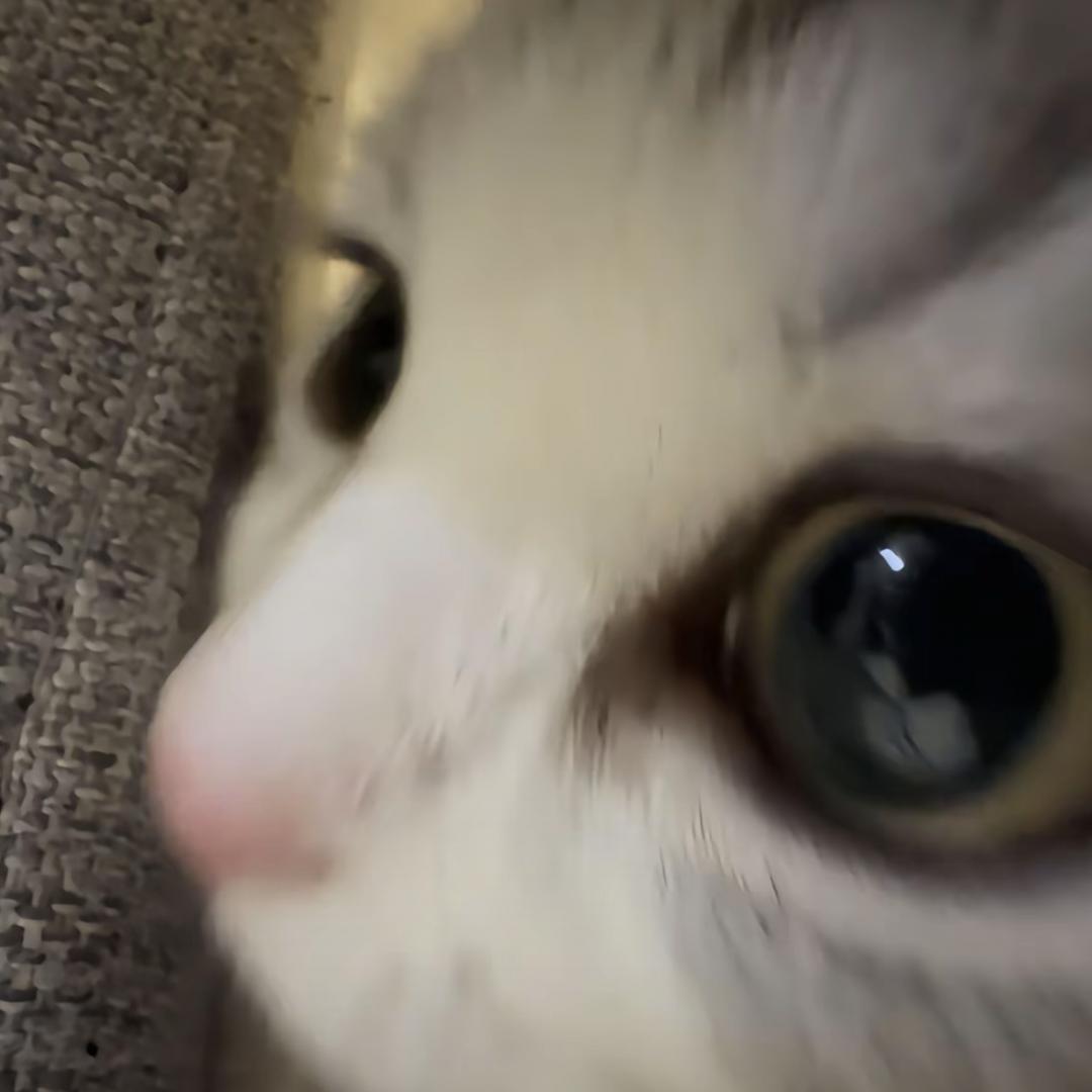 等风来