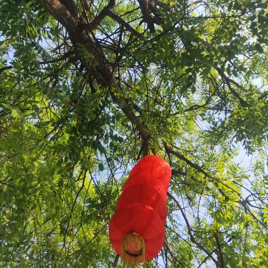 坏老头子糟的很