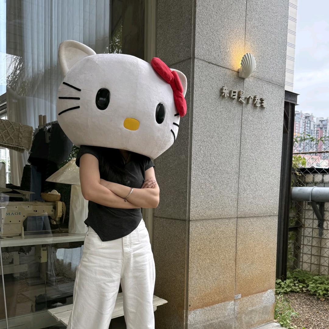 小hong✿໒꒱˚.*