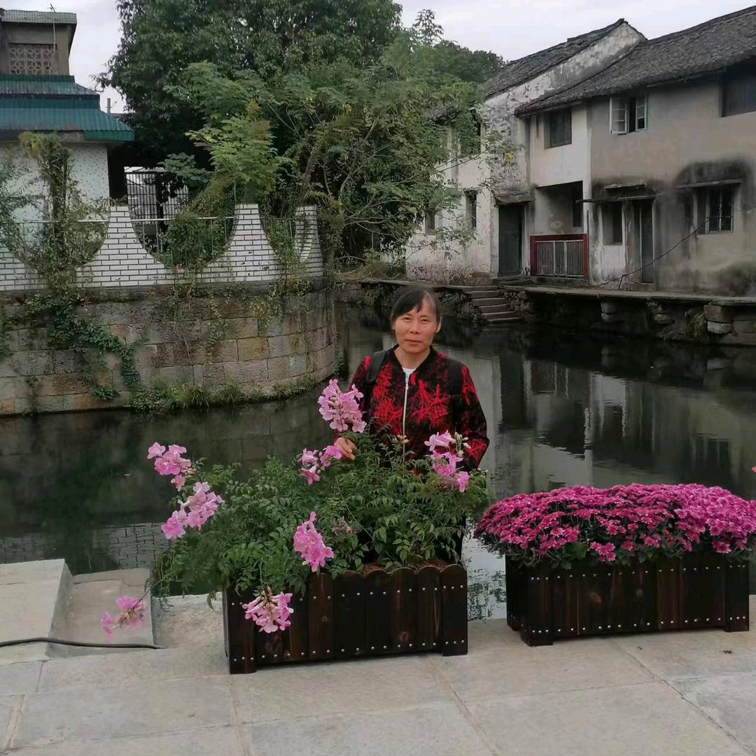 一帆风顺（虹）