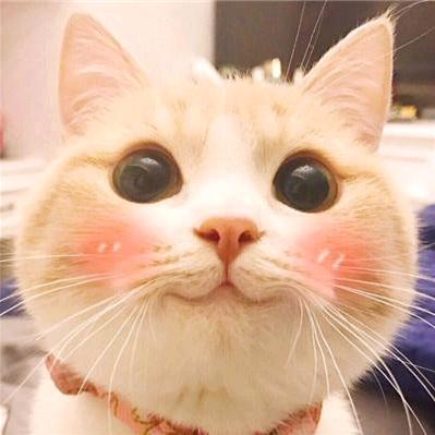 琨虽百货