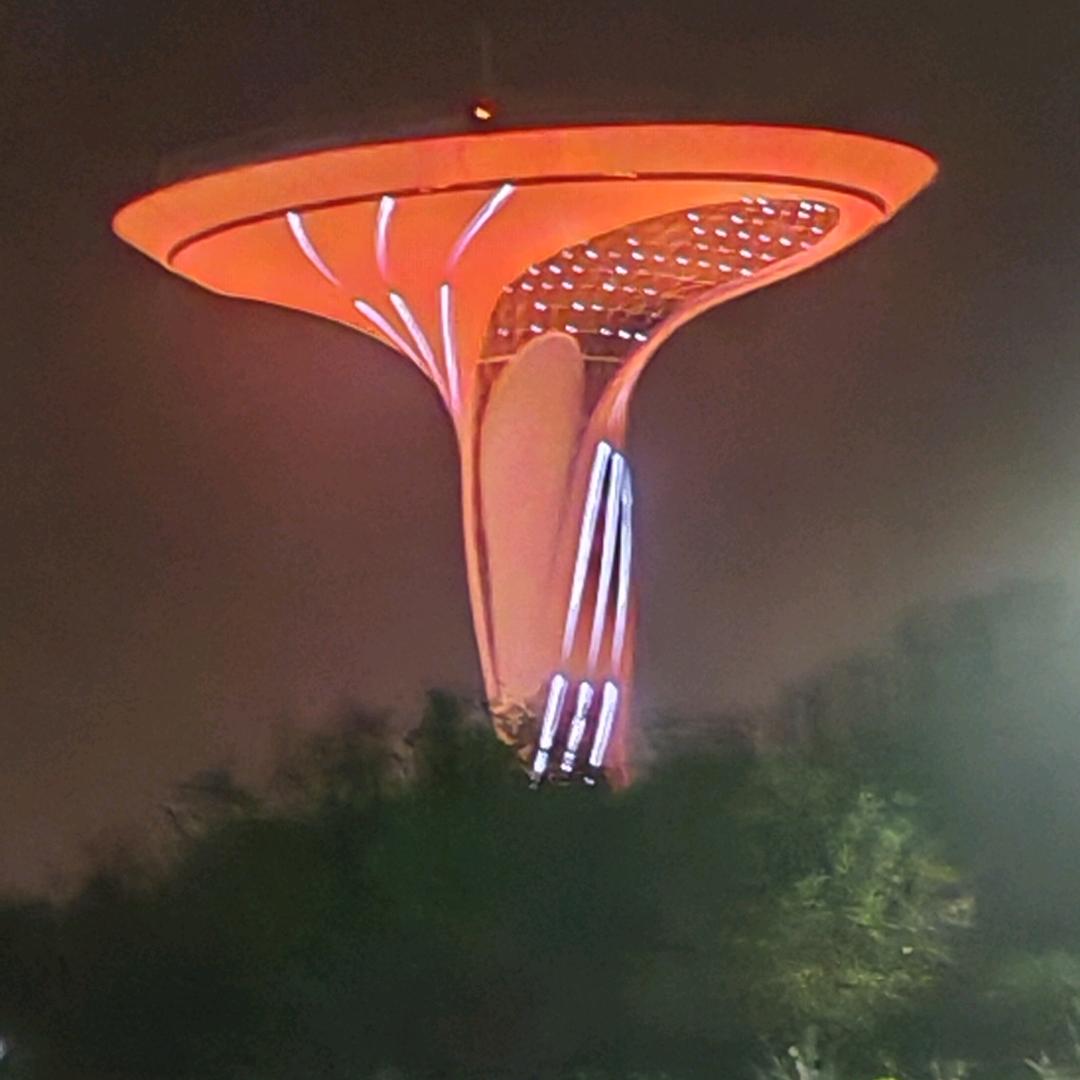 王哥_笑红尘