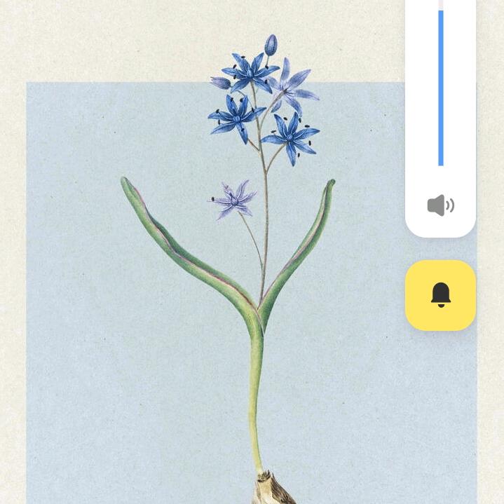 小🐟鱼儿