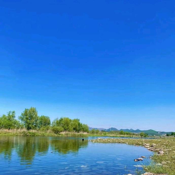 如意如意，按我心意！