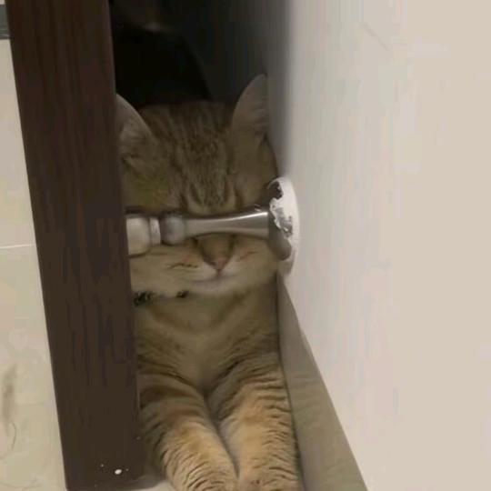 诚