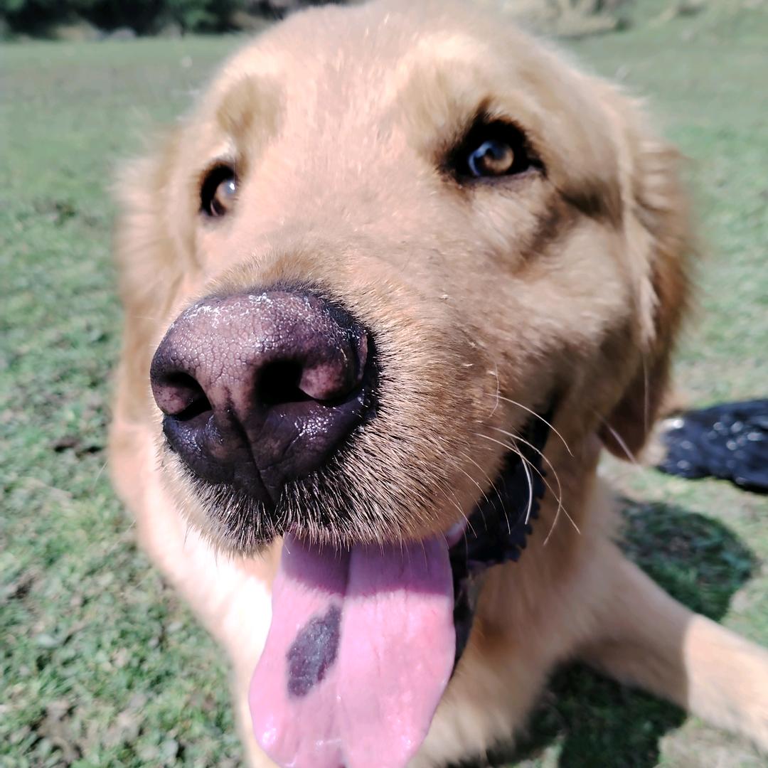 加一舌头有胎记