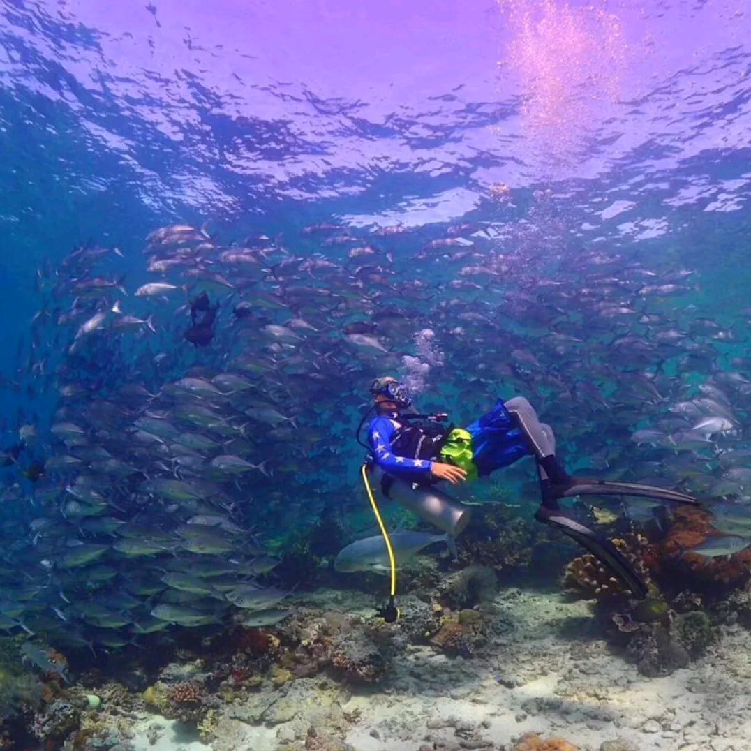 刚弟  海底捞一捞