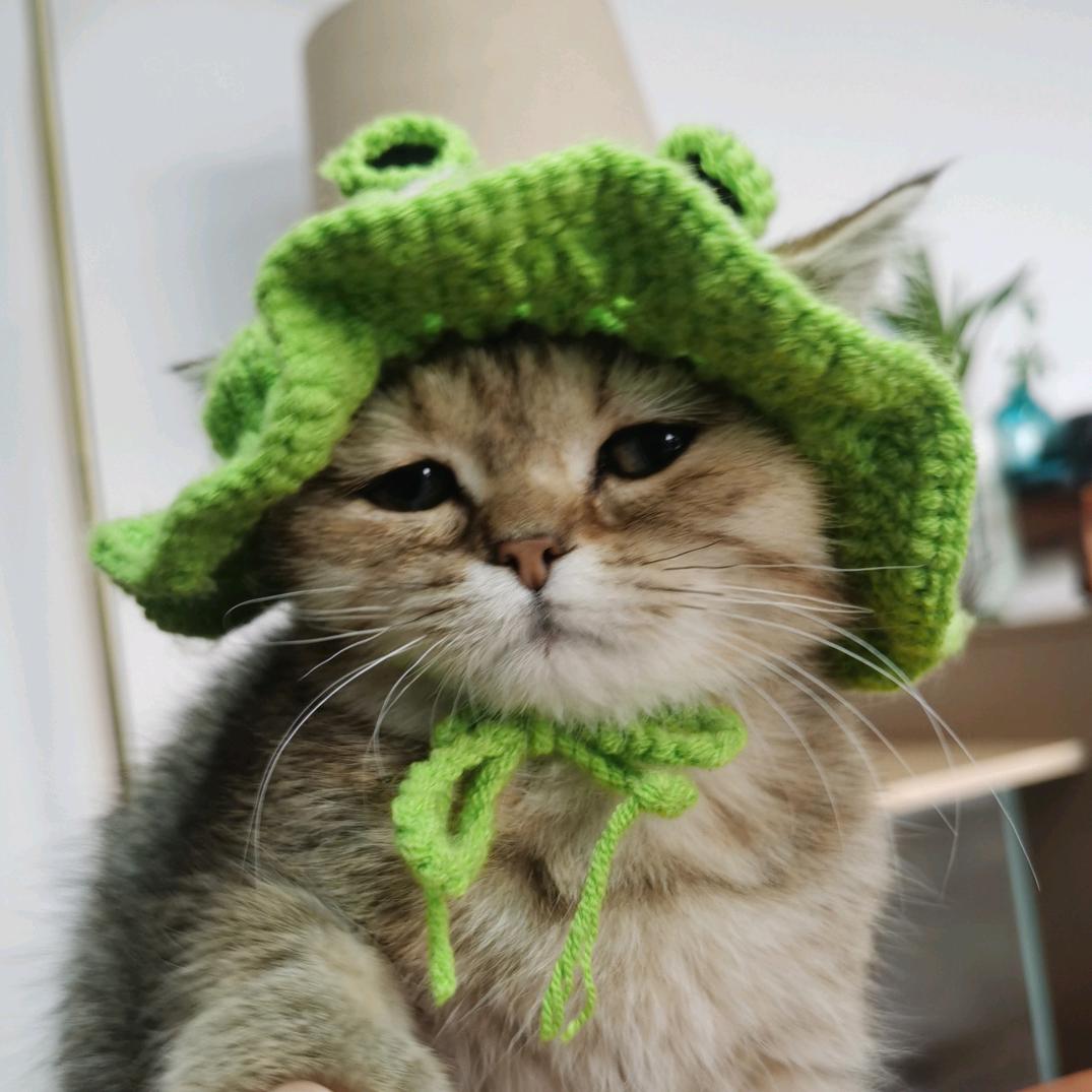 上班小猫（销冠）