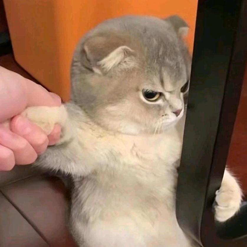 看见罐罐就想捡