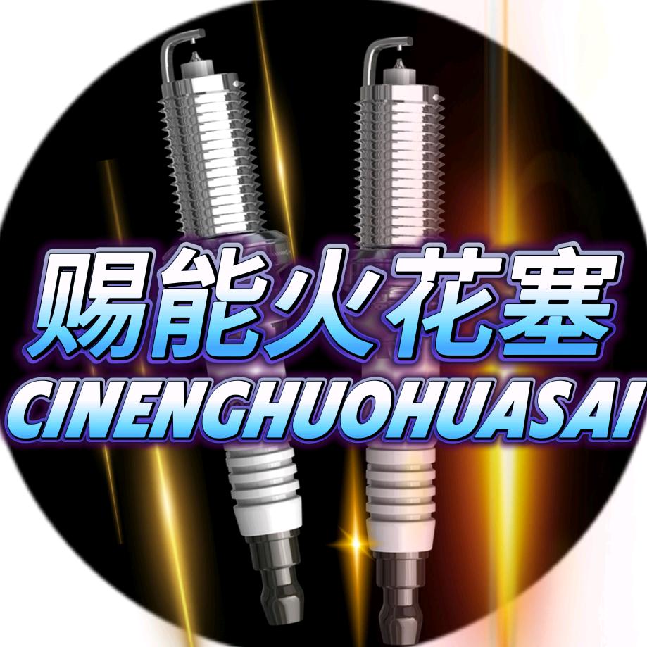 赐能双铱金火花塞企业总店