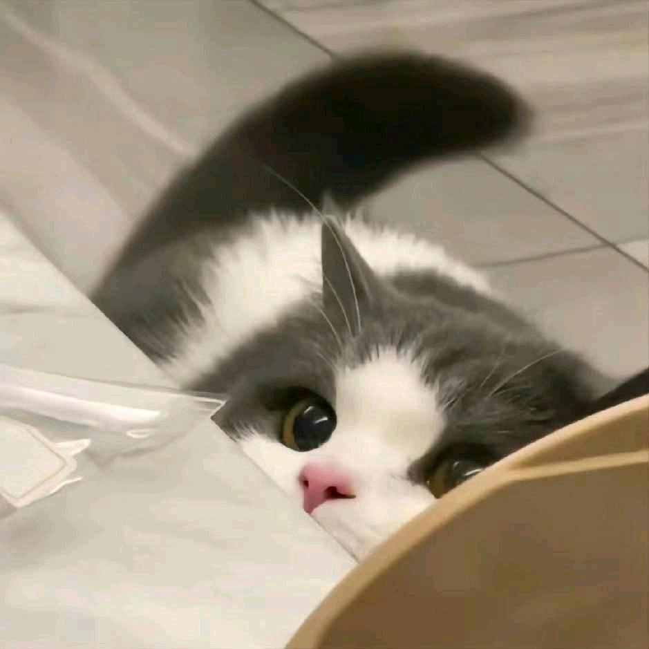 Potato🥔.