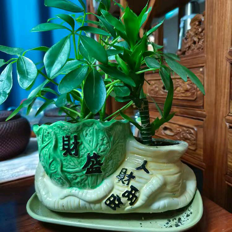 满眼星陈