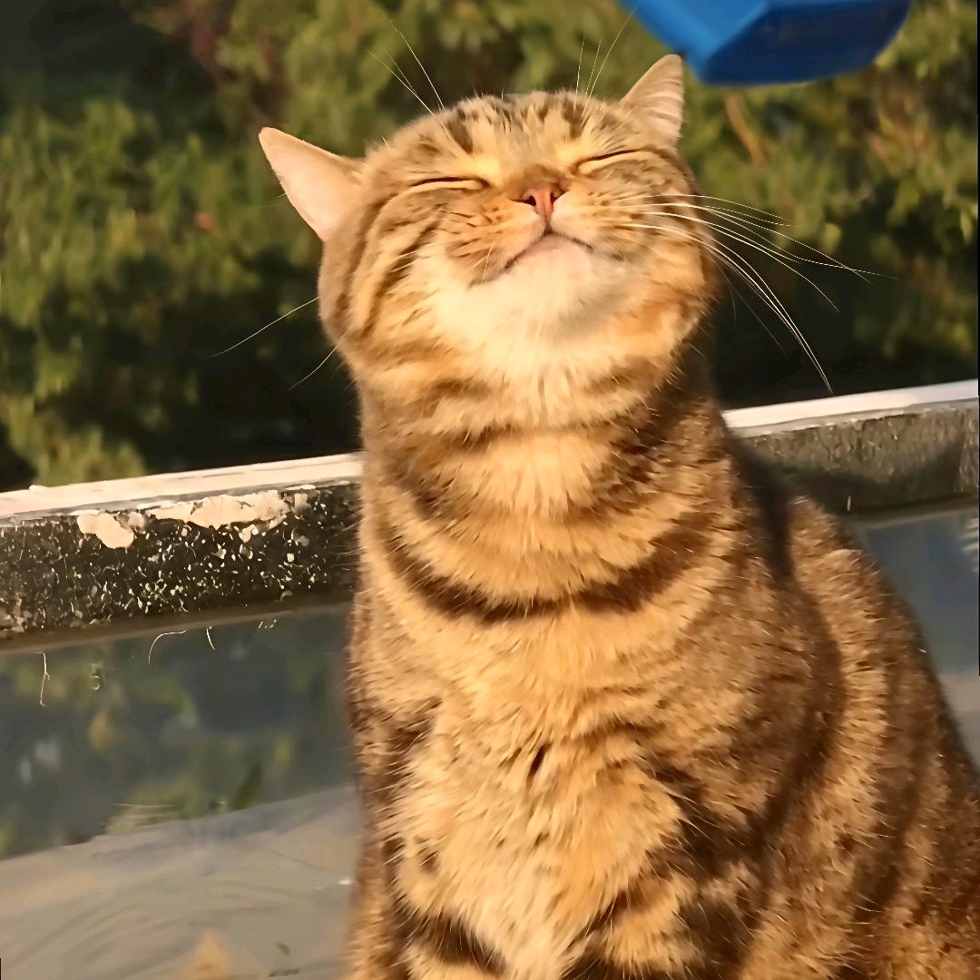 聆听最好的世界🎧