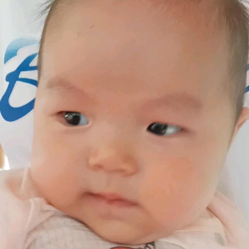 主播老公窦