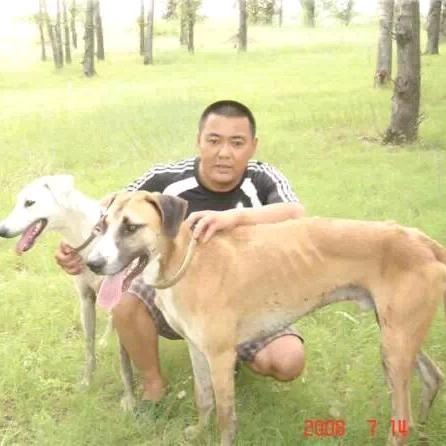 兵哥蒙细犬舍