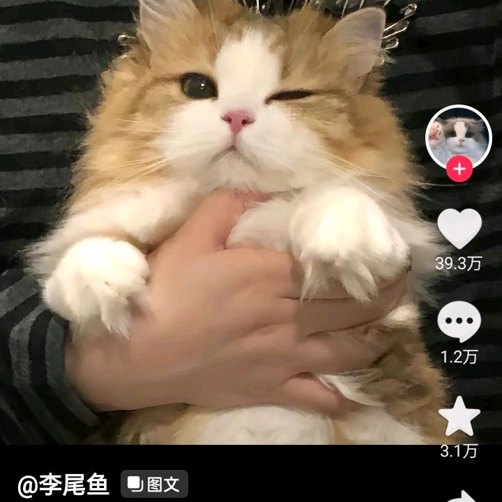 王，