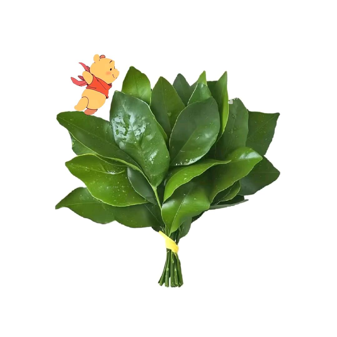 第三片雪花