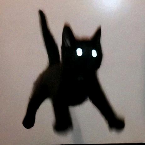 black•猫（阿水的铁粉版）