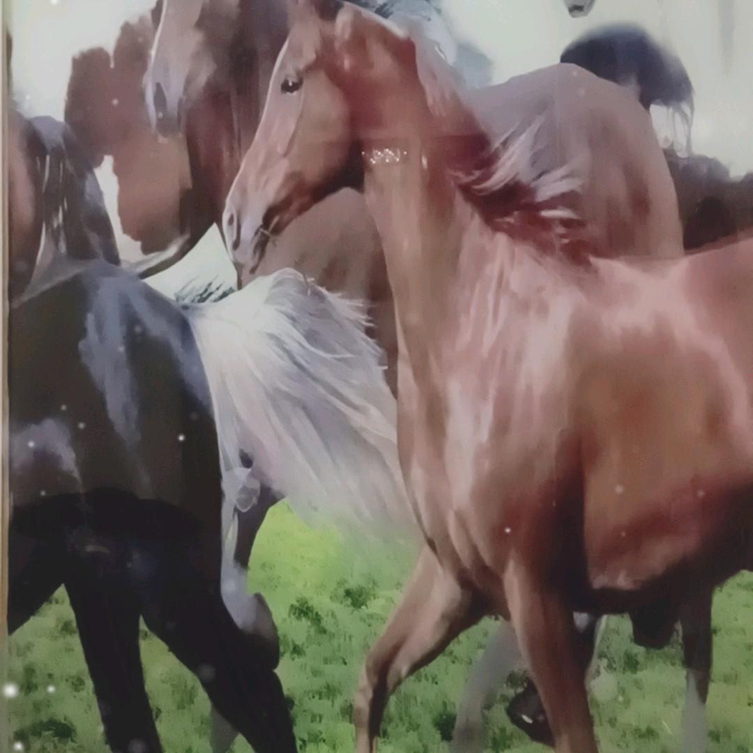 远方的诗